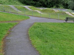 Supporting image for story: Telford & Wrekin joins spring clean initiative