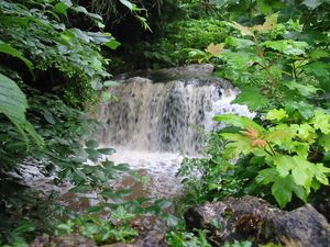 Supporting image for story: £2m to improve Much Wenlock brook 