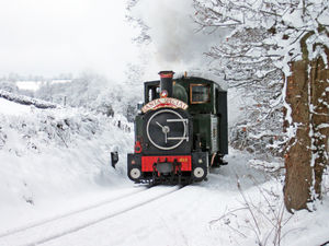 Supporting image for story: Beloved Santa train event cancelled this year despite volunteers' best efforts