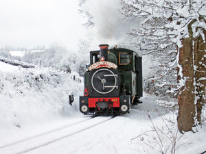 Supporting image for story: Beloved Santa train event cancelled this year despite volunteers' best efforts