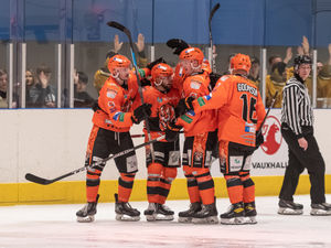 Supporting image for story: Telford Tigers come out on top against Bees
