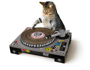 Cat scratch DJ deck