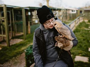 Supporting image for story: Owl sanctuary launches desperate fundraising bid to stay open