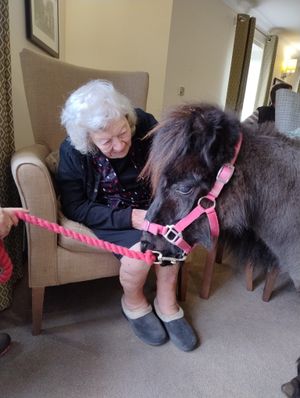 Sanctuary Care resident enjoys pony visit