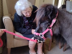 Supporting image for story: Pony power at Highcroft Hall