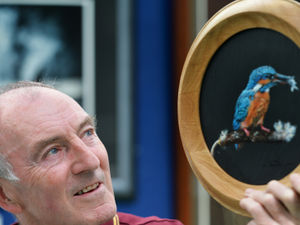 Supporting image for story: Wildlife art exhibition in Cannock