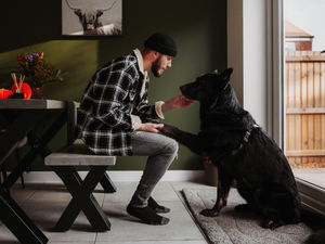 Supporting image for story: Newport man and beloved social media celebrity dog Zeus forced to stop Instagram adventures