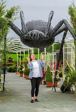 Sarah McManus faces the spider