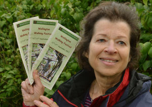 Supporting image for story