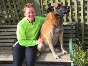Supporting image for story: Ludlow dog lover takes on London Marathon
