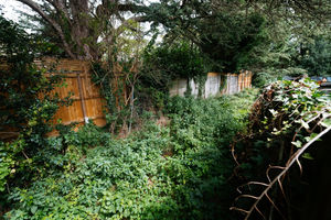 Where the road would be built to access the homes