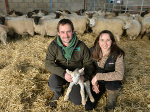 Supporting image for story: What it's like to be a farmer: We love working with animals!