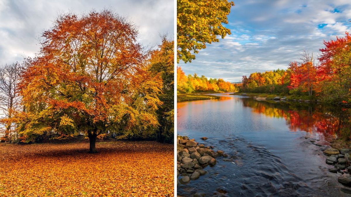 Autumn equinox is coming up - what happens during the autumn equinox? When do the clocks go back in 2025?