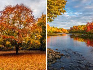 Supporting image for story: Autumn equinox is coming up - what happens during the autumn equinox? When do the clocks go back in 2025?