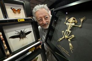 Jim Anderson of Curio Frames from Nottingham at Tattoo Freeze at Telford International Centre