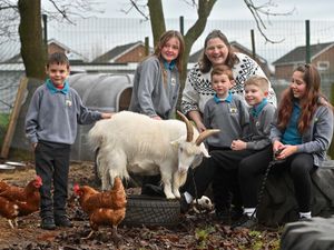 Supporting image for story: Longlands Primary School celebrates impressive proportion of pupils meeting expected standard