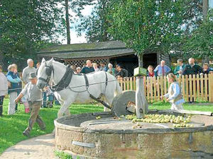 Supporting image for story: Price rises fear over £25,000 shortfall at Shropshire farm