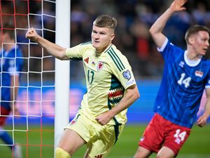 Supporting image for story: Wales tee up crunch North Macedonia clash with win in Liechtenstein