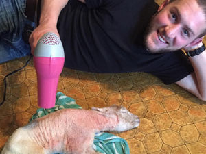 Supporting image for story: Lambing season: 10 farmers who have gone above and beyond to look after newborns