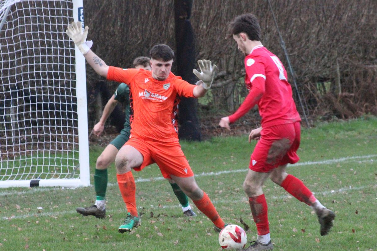 Radnor boys end the year in fine style with five-star show