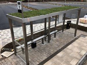 Supporting image for story: Plans to place a ‘living roof’ on a Knighton bus shelter, will not go ahead after funds were diverted elsewhere