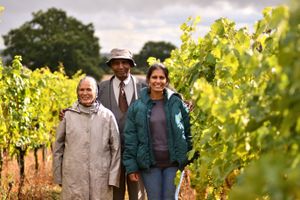 Wine growers Nirmala Devi, Ram Dass Chahal and Kiran Chahal at Rodington Vineyard, near Telford on Thursday, September 4, 2025