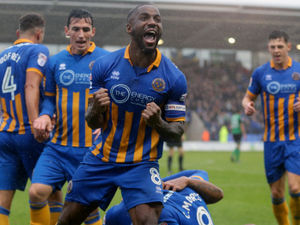 Supporting image for story: Shrewsbury ten game reviews: From leading the pack to faltering starts