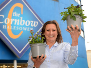 Supporting image for story: Halesowen in Bloom donate plants to Russells Hall Hospital