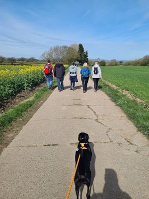 Tom McLeod sent in this lovely picture of his pals and pup enjoying the Tasty Trail at Oteley Estate, Ellesmere, on Sunday, April 10. Photo: @tom_mcleod97