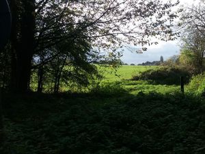 Supporting image for story: Campaign steps up fight for green belt