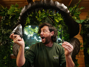 Supporting image for story: Stunning 'megalodon' exhibit opening at county zoo