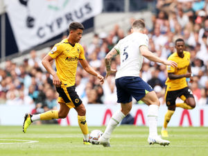 Supporting image for story: Dave Edwards: Wolves midfield one of the best - but Kane was difference