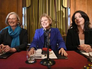 Supporting image for story