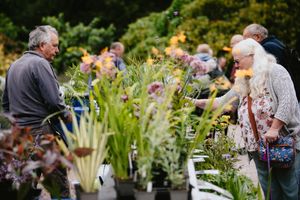 Plant Hunters Fair at Dorothy Clive Garden near Market Drayton