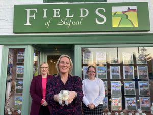 Supporting image for story: 'Lost sheep' showing the way through Shifnal Christmas trail