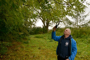 Supporting image for story