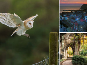 Supporting image for story: In pictures: Latest award-winning snaps from Newport Photographic Club