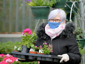 Supporting image for story: Shoppers return to garden centres with safety measures in place