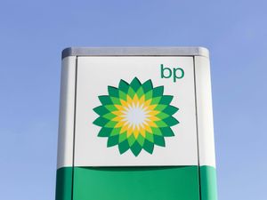 Supporting image for story: BP halts share buybacks and ramps up cost-cutting as profits slump
