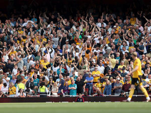 Supporting image for story: Wolves fans to attend fewer games after ticket price rises