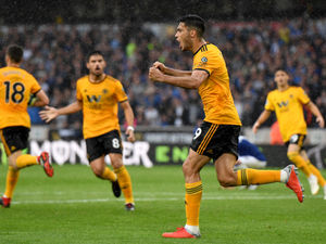 Supporting image for story: Wolves 2 Everton 2 – Report and pictures