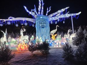 Supporting image for story: Safari Park flicks the switch on the stunning Lantern Festival