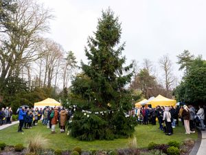 Supporting image for story: Annual campaign set to light up a life at Christmas for Wolverhampton charity