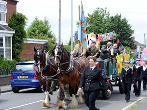 Supporting image for story: Thousands at 'biggest and best' Staffordshire carnival