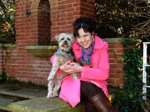 Supporting image for story: Cheeky Charlie the poster boy for healthy dogs