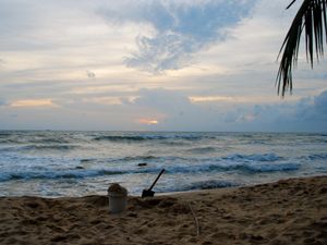 Supporting image for story: Record number of travel-linked typhoid cases