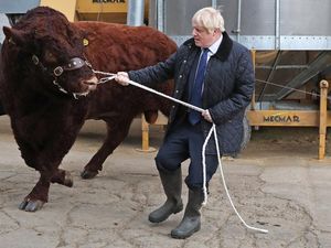 Supporting image for story