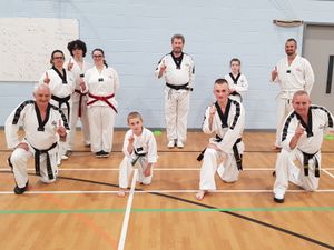 Supporting image for story: Gold rush for taekwondo club