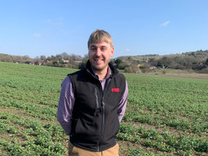 Supporting image for story: Getting timing right is vital