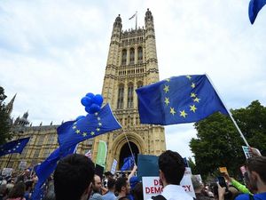 Supporting image for story: Protesters gather outside Parliament after PM’s move to suspend it